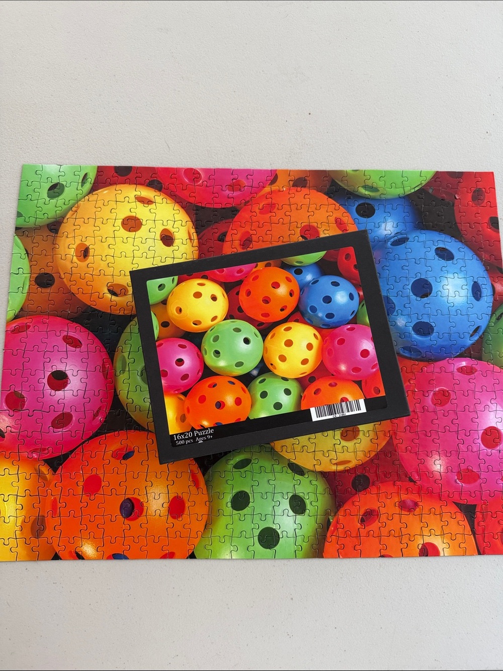 Pickleball 500 Piece Jigsaw Puzzle